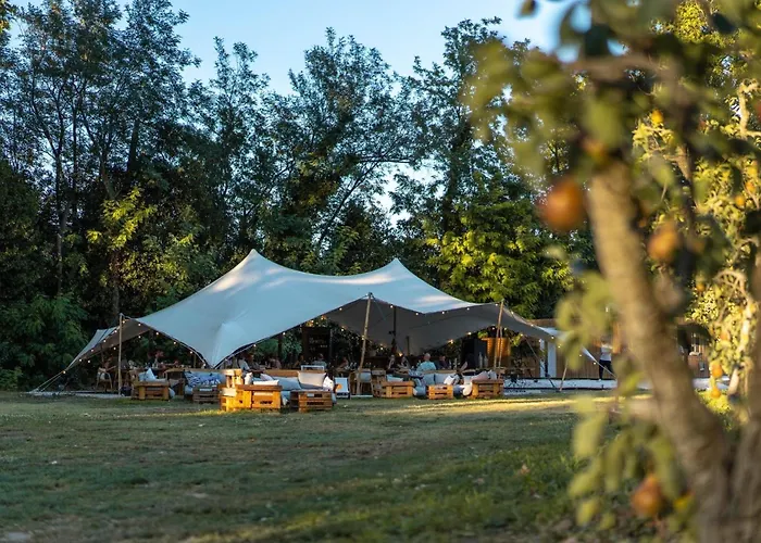 Mas De CapelouHotel Avignon